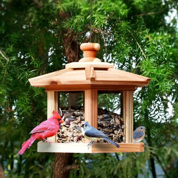 best bird feeders for cardinals