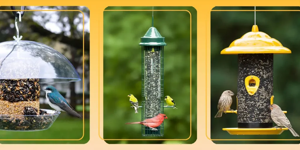 best bird feeders with camera