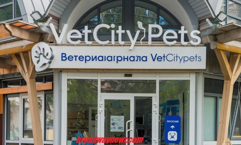 ветеринарная клиника vetcitypets